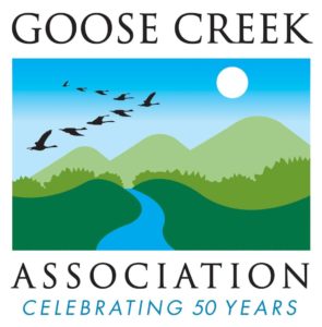 Goose Creek Association