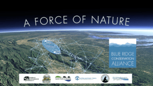 Getting to Know the Blue Ridge Conservation Alliance: The Video