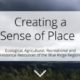 BRCA Gets an Interactive StoryMap