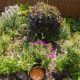 A Wildlife Haven in a Townhome Yard