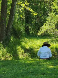 Nature Journaling at Morven Park