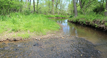 North Fork stream monitorin