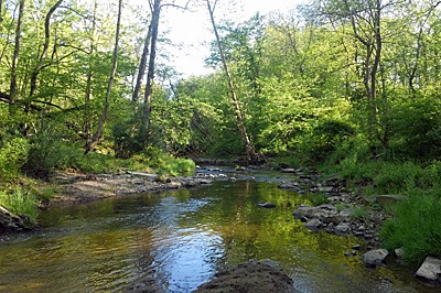 Crooked Run Downstream Site