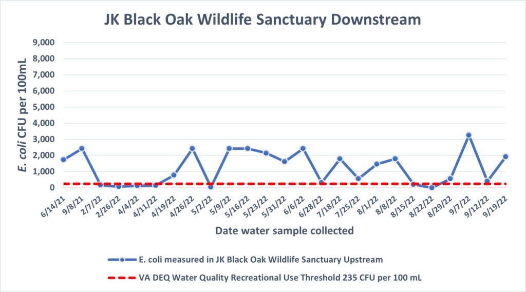 JK Black Oak Wildlife Sanctuary Downstream