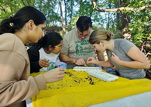 Students sorting macroinvertebrates