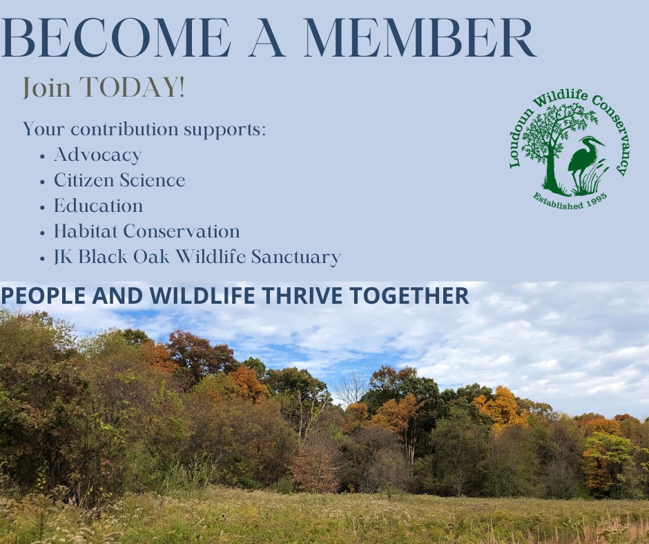 Become a member to support all that we do