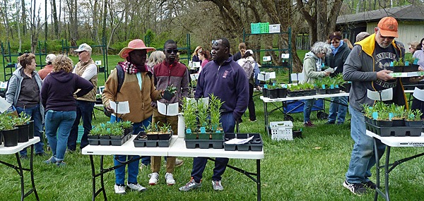 Shoppers at the Spring Native Plant Sale